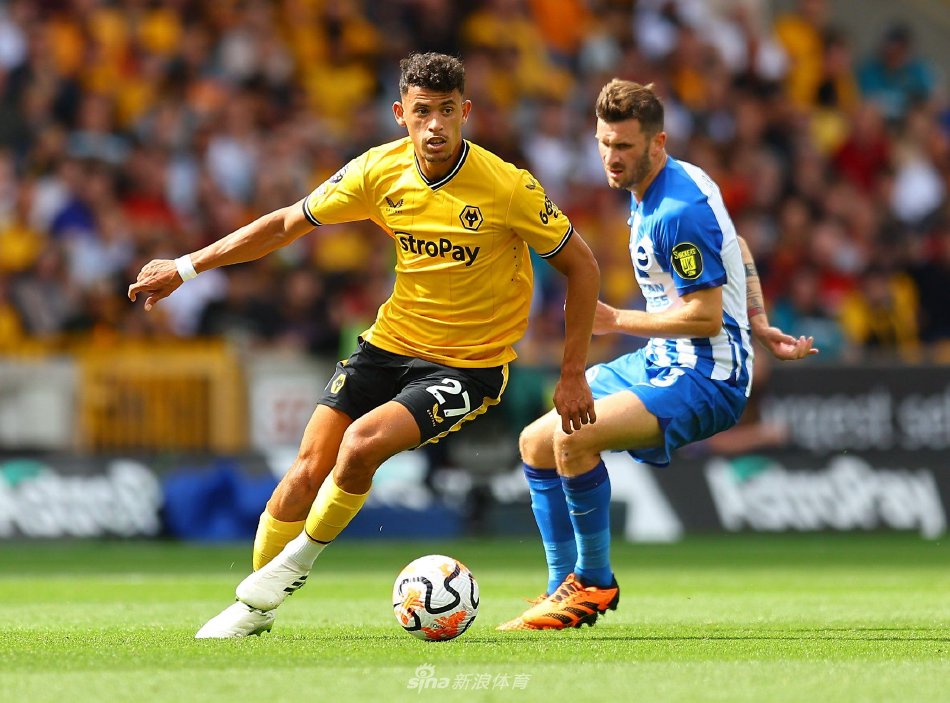 得分上双的 得分上双的