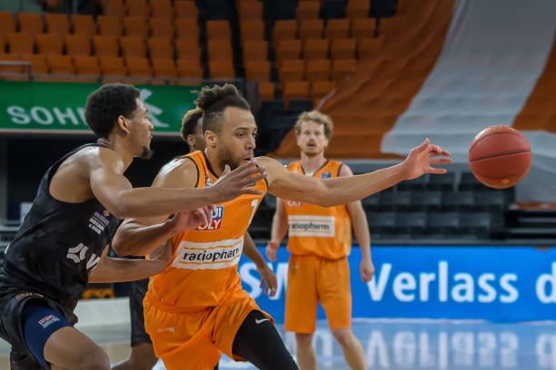 坎比亚索目 坎比亚索目