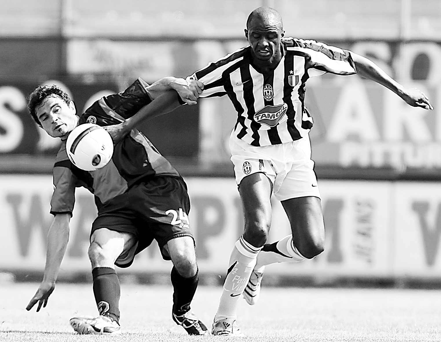 不仅重视体 不仅重视体